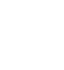 Mr. WebStore